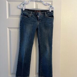 American Eagle Outfitters Blue Boot Cut Jeans Classic Style